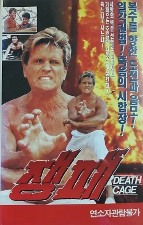 《搏击英雄》：热血拳击手的《废柴逆袭》之路，隐藏秘密的《不知内情的转学生》如何改写命运？