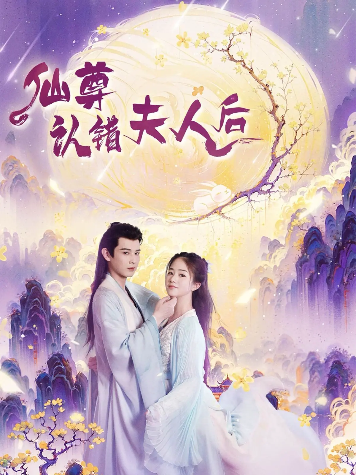 《仙尊认错夫人后》：仙侠世界的爆笑误会，当高冷仙尊遇上“平平无奇”的她